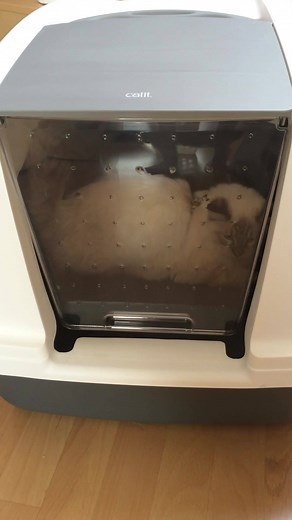 The Catit Magic Blue Litter Box Jumbo is so spacious that cats even like to play in it before you fill it! Read more about this product on https://www.catit.com/shop/magic-blue-litter-box-jumbo/ Online Catit shops USA: https://usa.catit.com/product-category/care/grooming-tools/ UK: https://www.catit.com/uk/product-category/care/grooming-tools/ | Catit