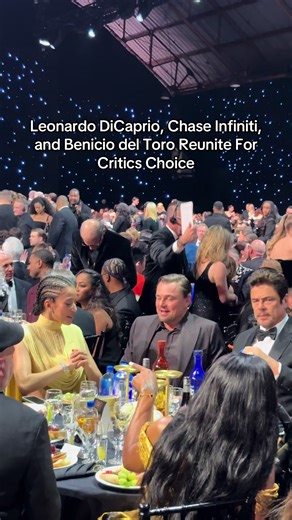 Leonardo DiCaprio and Benicio Del Toro at Critics Choice
