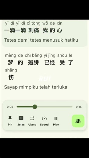 梦的翅膀受了伤 #song lyric #douyin #trung #lyrics