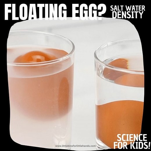Floating Egg Experiment for Kids
