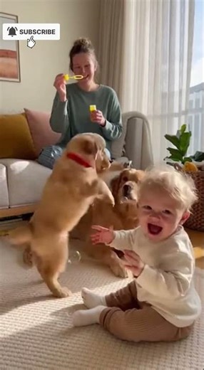 “Baby and Puppy See Bubbles for the First Time 😂” #baby #shorts #fyp #puppy