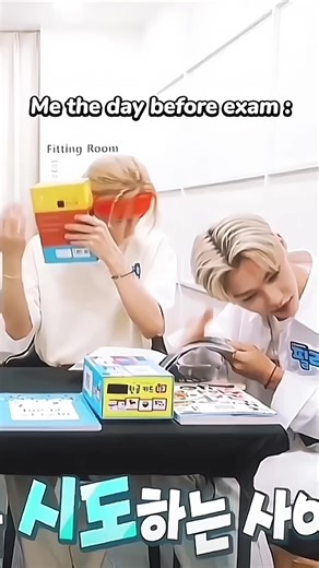 Funny Stray Kids Memes for Kpop Fans