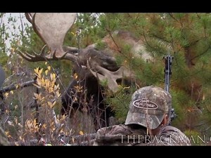 Video: 6 Close-range Hunting Encounters That Will Make Your Heart Skip a Beat | OutdoorHub
