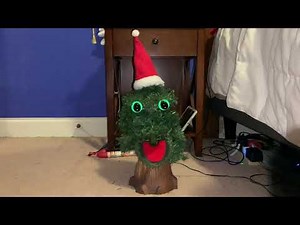 Canadian Dancing Douglas Fir