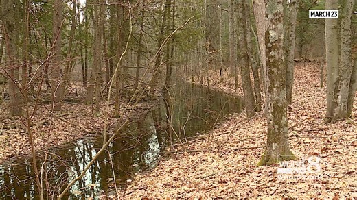 Kent ISD moving forward with nature center sale