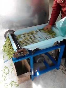 Green pea sheller pea shelling machine