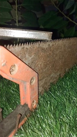 They Said It Was Impossible… But My Saw Is Back!"