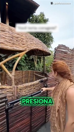 Hotel Adivasi de cinco estrellas 😱 #catsoftiktok #catlovers #cat #cute #fyp #shortsvideo