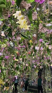 395K views · 10K reactions | teamLab Planets Tokyo’s Floating Flower Garden  #thediscoverer #reel #reelsfb #reelsvideo #reelstrending #reelsviral #instatravel #travelling #traveler #traveltheworld #travels #instatraveling #traveladdict #travellife #traveldiaries #travelawesome #travelholic #travelbug #travelstoke #traveldeeper #travelers #worldtraveler #ilovetravel #luxurytravel #japan #japantravel #tokyo #tokyojapan #teamlab #teamlabplanets | Laag Ni Josh | Facebook