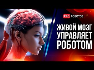 Биокомпьютер с клетками мозга | Гуманоидные роботы на заводах BMW и Volkswagen | Новости Илона Маска