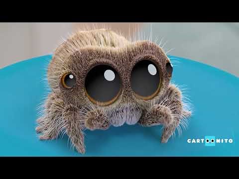 ¡Parpadeaste! | La Araña Lucas | Cartoonito