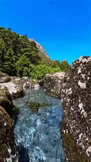 Louwtjie Rautenbach on TikTok