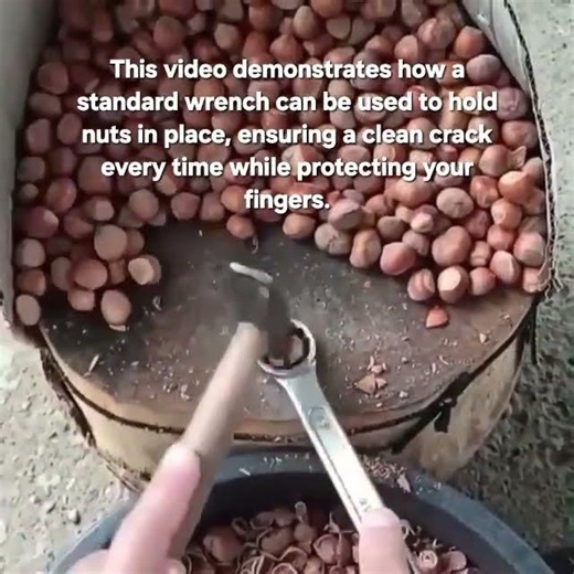 Creative Wrench Hack for Cracking Hazelnuts Faster