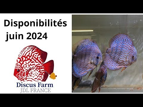 petit tour de la ferme à Discus et des disponibilités