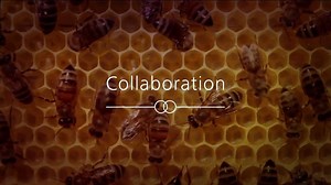 16 reactions | Why diversity of customers, ideas and talent is bringing a new horizon for leadership | Deloitte | Facebook