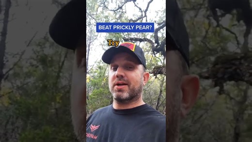 Prickly pear control - not