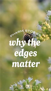 The magic of our Regenerative Organic Certified® farms is certainly in the soil and the herbs, but it’s also in all of the areas surrounding our farms. Our hedgerows serve many purposes, including biodiversity, food and shelter for pollinators, weed suppression, and protecting our crops from wind. #regenerative #regenerativeorganic #biodiversity #regenerativefarming | Herb Pharm