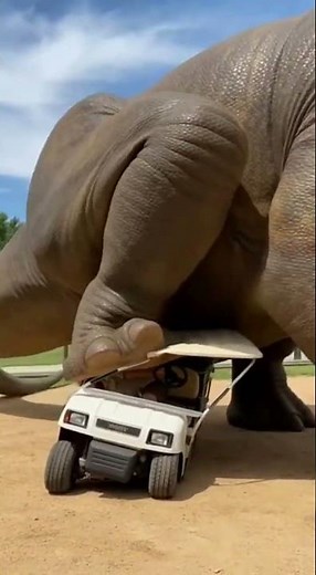 Dinosaur foot stomp crushes a car at Jurassic Park! #funny #crush #car #ai