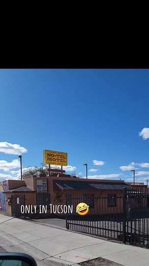 instonefossils on TikTok