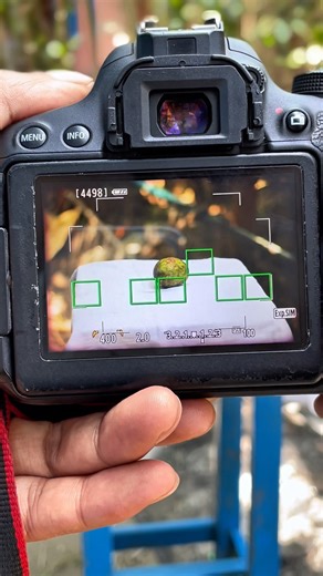 Canon 700d photography #canon700d #50mm #photography #photo