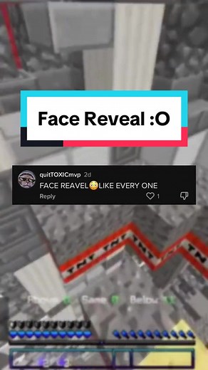 Exciting Minecraft Face Reveal Video