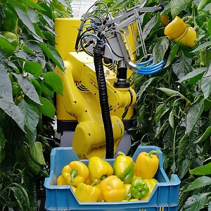 383K views · 956 reactions | This robot could be the future of fruit and vegetable harvesting | In The Know | Facebook