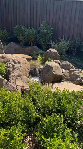 Sound on 🎧 What if we told you it only takes 20 seconds to feel calm? Listen to the sound of this Japanese water garden by Pond Works and Ken Lamb from Imperial Gardens Landscape and you’ll know what it’s like to be a pond owner. Save this for later and when you’re ready, stay as long as you like 🧘#watergarden #pondbuilder #waterfall #ecopond #asmr #naturesounds #pondowner #pondlife | Pond Works