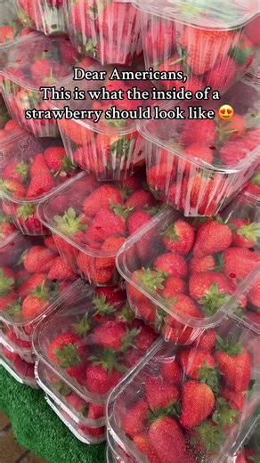 Differences in Strawberry Color: A British View