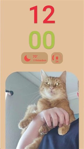 We're planning to get a new Wi-Fi router since the old one is so slow. also my birthday is in March!