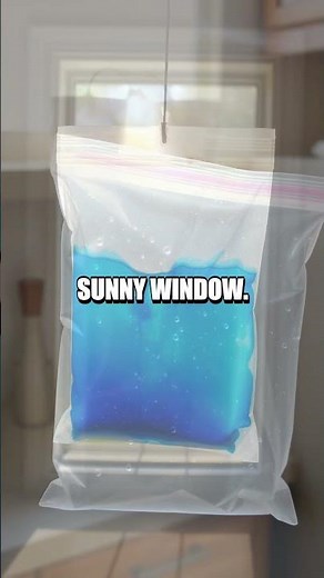 Creating a DIY Water Cycle in a Bag Experiment