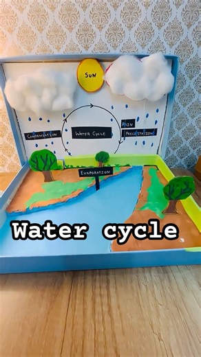 Water cycle science project #diy #watercycle #science #project #shorts
