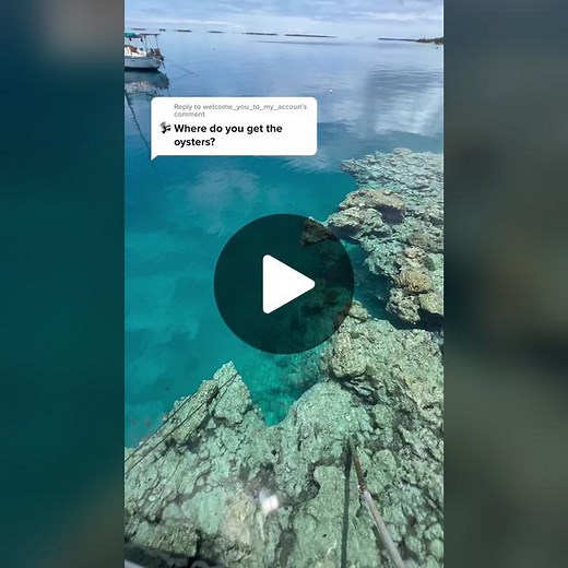 Where to Find Oysters with Pearls: A Beginner's Guide