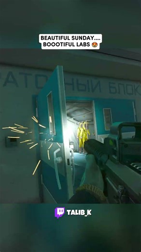 I LUB LABS 😍 #escapefromtarkov #tarkovgame #tarkov #eft #gaming