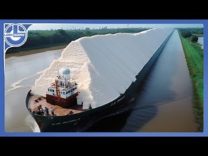 Harvesting MILLIONS of Tons Of Sugarcane To Make Raw And Refined SUGAR