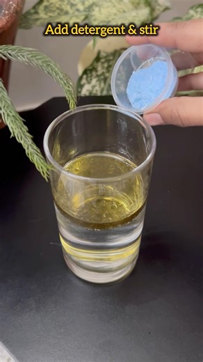 How can we mix oil in water!😲💧#science #shorts ..