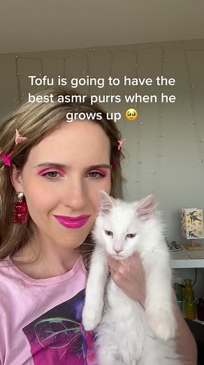 Purrs are healing 💝 #asmr #cat #kitten #kittenasmr #healing #purr #purring