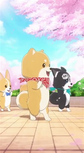 Dancing Dogs Make Everyone Smile!