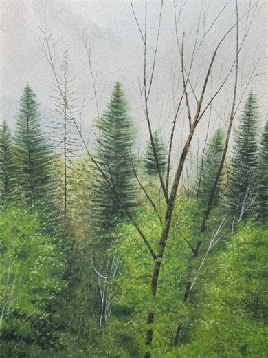 Misty Forest Awakening: A Watercolor Journey