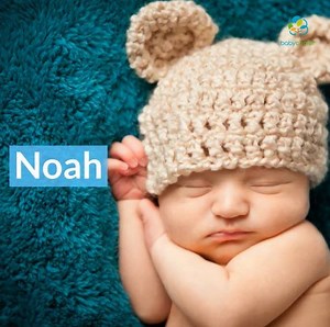 40K views · 49 reactions | ¿Te suena el nombre Noah? ¡Es un nombre súper popular! Mira por qué. | BabyCenter en Español | Facebook
