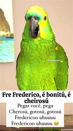 PAPAGAIO CANTANDO E SE ELOGIANDO FOI LONGE DEMAIS 😂