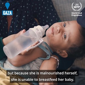 2.5M views · 66K reactions | Emma Thompson explains how a displaced mother in Gaza struggles to find food for her family. Many families in Palestine rely on food aid. Join Emma Thompson and donate now to help WFP reach more families with lifesaving food assistance. | World Food Programme | Facebook