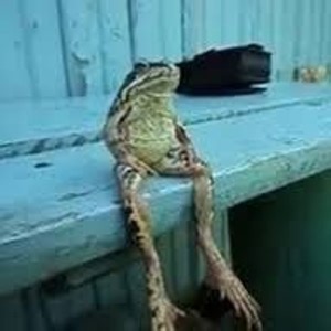 retrospring - Twitch