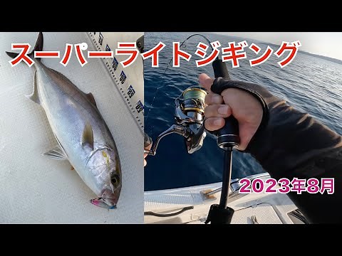 Bluefish caught on midsummer SLJ [Game Type LJ S65-0/FS]