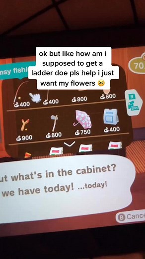 How to Get a Ladder in Animal Crossing: Step-By-Step Guide