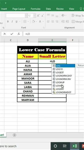 lower formula in excel | convert text to lowercase easily