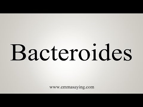 How To Say Bacteroides