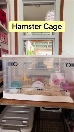 Hamster Cage Setup for Happy Pets