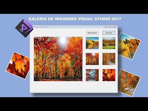 COMO HACER UNA GALERIA DE IMAGENES REALIZADA EN VISUAL STUDIO 2017(VISUAL STUDIO 2010)
