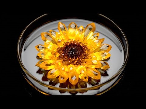 【総集編】結晶と金属の化学反応 金属の増殖 Chemical reactions of metals, metal proliferation