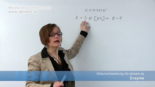 Ablauf der Enzymreaktion - Stoffwechsel